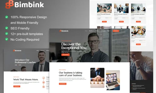 Bimbink-cover