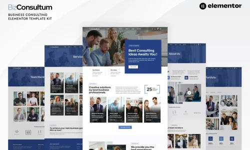 Bizconsultum-cover